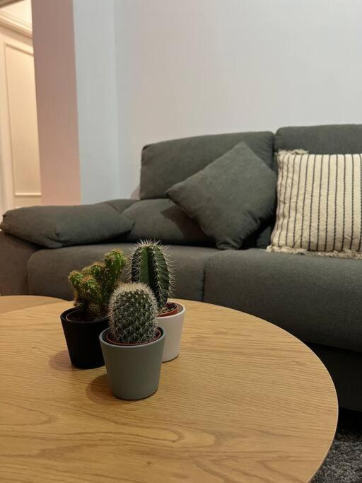 Top Duplex Centro "La Plazuela" Херес-де-ла-Фронтера Экстерьер фото